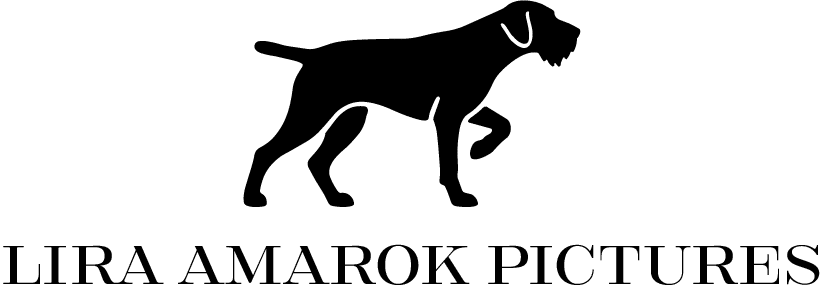 Jagdhundfotografie