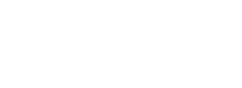 Das Logo von LiraAmarokPictures in weiß
