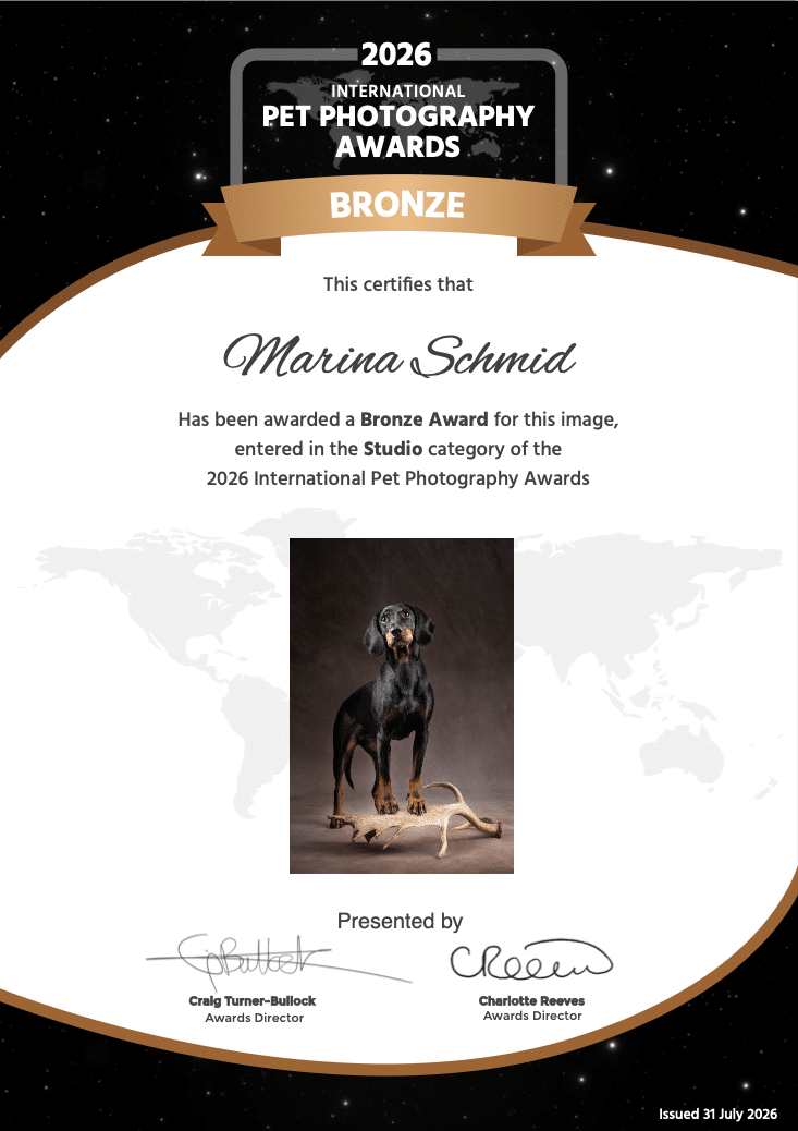 IPPA Bronze Zertifikat 2026 Zertfikat der International Pet Photography Awards das Marina Schmid in der Kategorie Studio einen Bronze Award gewann