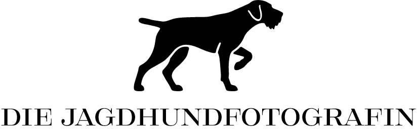 Jagdhundfotografie