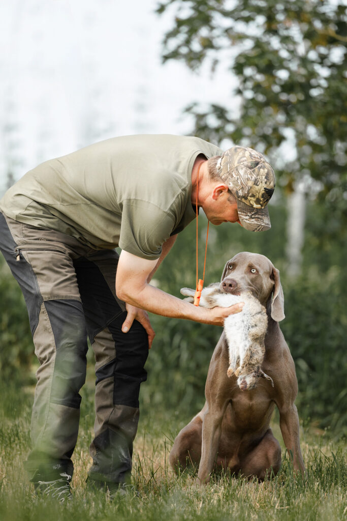 Ein Weimaraner mit seinem Besitzer bei der Übergabe eines Kaninchens
